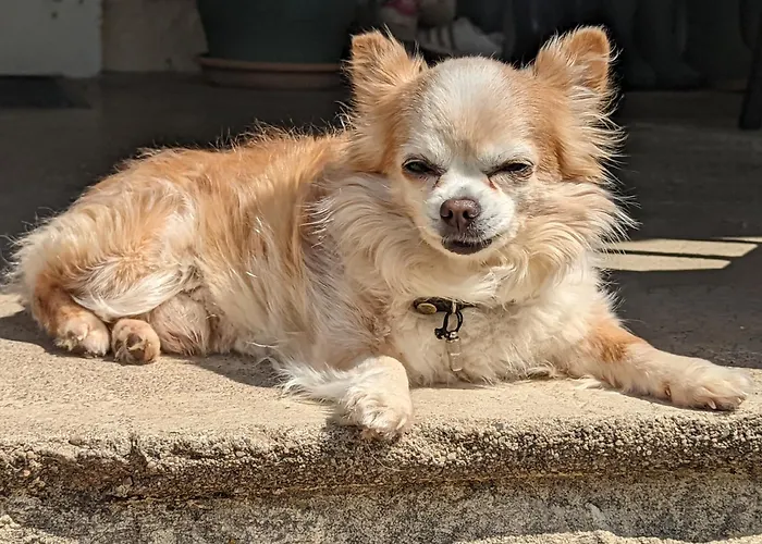 Dom wakacyjny De Maran 1 - Le Nid Douillet Gaugeac